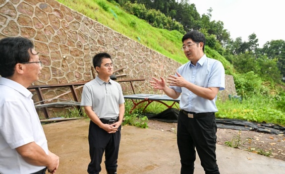 胡剑飞调研检查防汛防台风工作